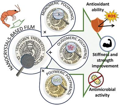 Introducing Hydrogen Bond Networks in the Self‐Assembly of Chitin Nanocrystals: Strong and Flexible Bioactive Films Containing Natural Polyphenols