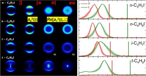 Structural Effects on the Energy Disposal and Atomic Photofragment Alignment for the Photodissociation of Alkyl Iodides at Excitation Wavelengths of 254 and 268 nm