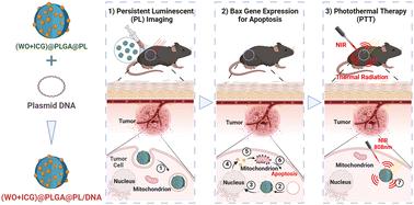 (WO + ICG)@PLGA@lipid/plasmid DNA nanocomplexes as core–shell vectors for synergistic genetic/photothermal therapy