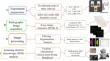 Potential analysis of radiographic images to determine infestation of rice seeds