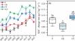 Microbial metabolism strengths carbon sequestration and crop yield in upland red soil after long-term ex situ incorporation of straw