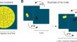 Diagnostic performance of pupil perimetry in detecting hemianopia under standard and virtual reality viewing conditions