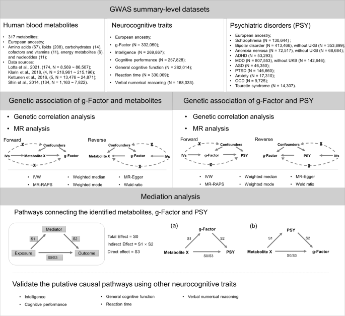 Blood metabolites, neurocognition and psychiatric disorders: a Mendelian randomization analysis to investigate causal pathways