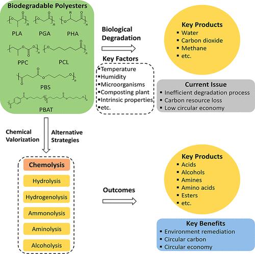 Chemolysis for Efficient and Sustainable Upcycling of Biodegradable Polyester Waste to Value-Added Products