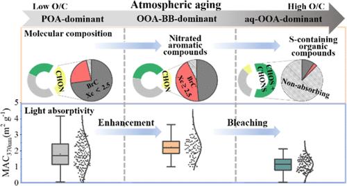 Aromatic Nitration Enhances Absorption of Biomass Burning Brown Carbon in an Oxidizing Urban Environment