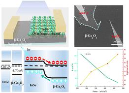 Self-powered photodetector with low dark current based on the InSe/β-Ga2O3 heterojunctions