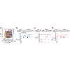 Control of threshold voltages in Si/Si0.7Ge0.3 quantum devices via optical illumination