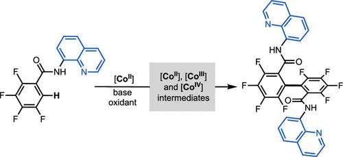 Exploration of Organometallic Cobalt Intermediates in an Aminoquinoline-Directed Dehydrogenative Dimerization Reaction