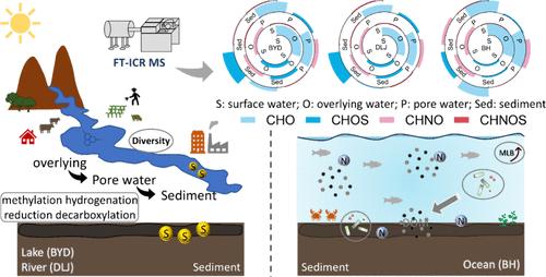 Elucidating the Composition and Transformation of Dissolved Organic Matter at the Sediment–Water Interface Using High-Resolution Mass Spectrometry