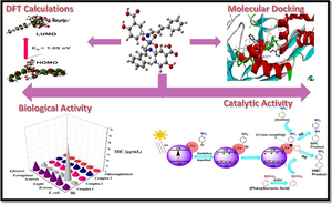 Design, Spectroscopic Analysis, DFT Calculations, Catalytic Evaluation, and Comprehensive In Silico and In Vitro Bioactivity Studies, Including Molecular Docking, of Novel Co(II) Complexes of 2-Hydroxy-5,3-(phenylallylidene)aminobenzoic Acid