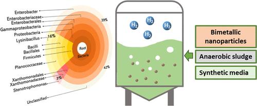 Unlocking the Potential of Ni/Fe2O3 Bimetallic Nanoparticles for Fermentative Biohydrogen Production