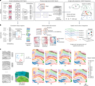 Search and match across spatial omics samples at single-cell resolution