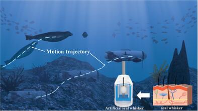 Deep-Learning-Assisted Triboelectric Whisker Sensor Array for Real-Time Motion Sensing of Unmanned Underwater Vehicle