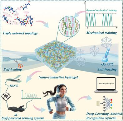 Multifunctional Nano-Conductive Hydrogels With High Mechanical Strength, Toughness and Fatigue Resistance as Self-Powered Wearable Sensors and Deep Learning-Assisted Recognition System