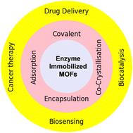 Exploring enzyme-immobilized MOFs and their application potential: biosensing, biocatalysis, targeted drug delivery and cancer therapy