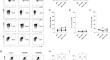 High concentration of estrogen resulted by COH may affect the secretion of pro-angiogenic factors in uNK cells by downregulating the expression of IL-11 in decidual stromal cells