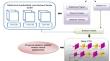 MeVs-deep CNN: optimized deep learning model for efficient lung cancer classification