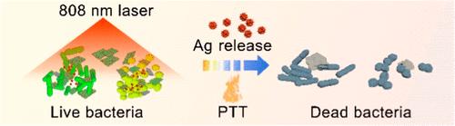 Ag Nanoparticles on MXene Nanosheets for Combined Ionic and Photothermal Therapy of Bacterial Infections