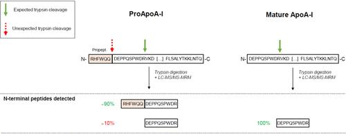 Trypsin Partially Cleaves Apolipoprotein A-I (ApoA-I) Precursor into Mature ApoA-I Hindering the Quantification of Naturally Occurring ApoA-I Proteoforms by Liquid Chromatography in Multiple Reaction Monitoring Mode Mass Spectrometry (LC-MRM-MS)