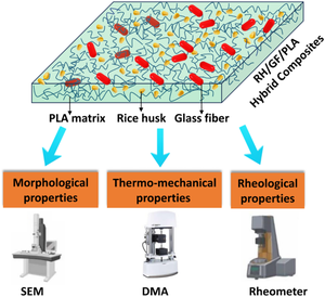 Rice husk/glass fiber-reinforced poly(lactic acid) hybrid composites: rheological and dynamic mechanical study