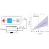 Optimizing quantum tomography via shadow inversion