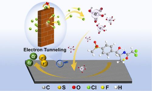 Reductive Degradation of Florfenicol by Electrogenerated Hydrated Electrons via the Electron Tunneling Effect