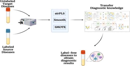 MURDA: Multisource Unsupervised Raman Spectroscopy Domain Adaptation Model with Reconstructed Target Domains for Medical Diagnosis Assistance