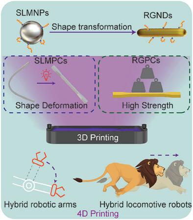 4D Printing Hybrid Soft Robots Enabled by Shape-Transformable Liquid Metal Nanoparticles