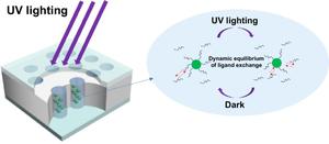 Liquid-encapsulated quantum dot for enhanced UV and thermal stability of quantum dot color conversion films