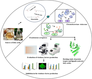 Role of fatty acids in modulating quorum sensing in Pseudomonas aeruginosa and Chromobacterium violaceum: an integrated experimental and computational analysis