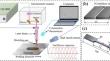 Effect of Ni interlayer on microstructures and mechanical properties of 2205 duplex stainless steel joint by laser oscillating welding