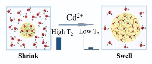 High Stability Hydrogel Magnetic Relaxation Switch Sensor Driven by pH for the Sensitive Detection of Cd2+