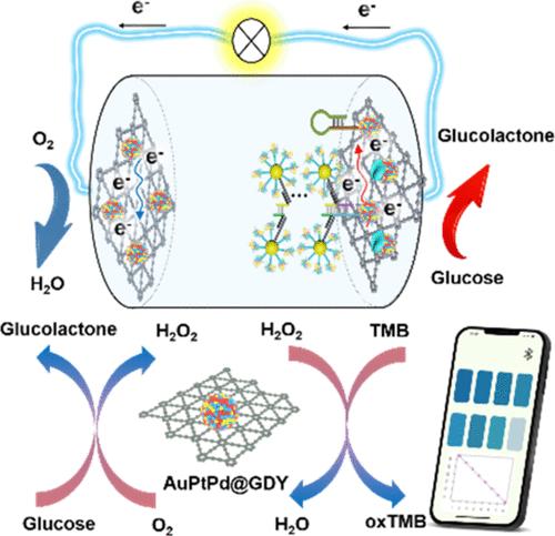 A Smartphone-Mediated “All-In-One” Biosensing Chip for Visual and Value-Assisted Detection