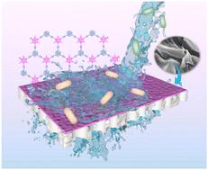 Preparation and antibacterial performance of a conjugated microporous polymer nanosheet-based membrane†