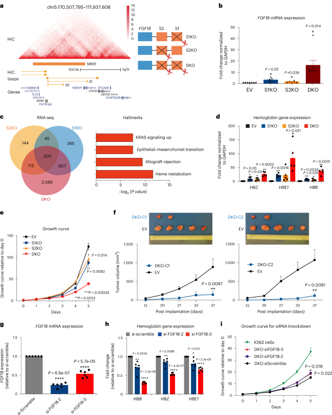 Super-silencer perturbation by EZH2 and REST inhibition leads to large loss of chromatin interactions and reduction in cancer growth