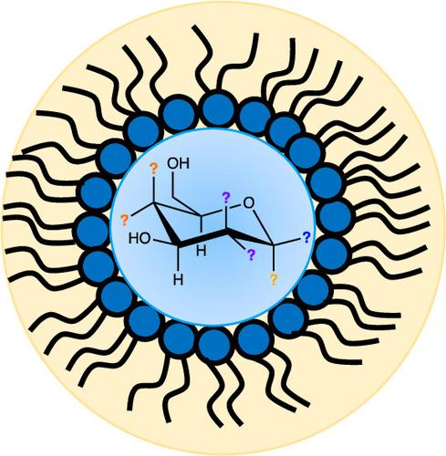 Mutual Relationships of Nanoconfined Hexoses: Impacts on Hydrodynamic Radius and Anomeric Ratios