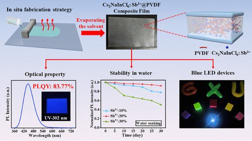 In Situ Fabrication of Highly Efficient and Stable Cs2NaInCl6: Sb3+@PVDF Composite Films for Optoelectronic Devices