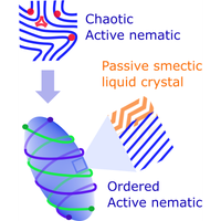 Dynamics of Active Defects on the Anisotropic Surface of an Ellipsoidal Droplet