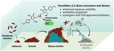 Pyrrolidine-2,3-diones: heterocyclic scaffolds that inhibit and eradicate S. aureus biofilms