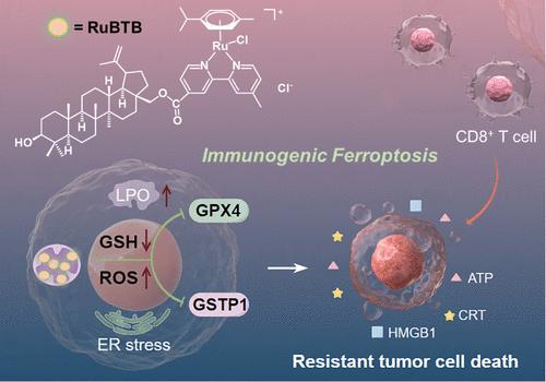 Ruthenium(ii)–Arene Complex Triggers Immunogenic Ferroptosis for Reversing Drug Resistance