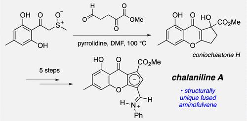 Total Synthesis of Chalaniline A: An Aminofulvene Fused Chromone from Vorinostat-Treated Fungus <i>Chalara</i> sp. 6661.