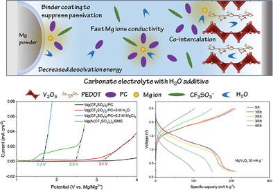 Multifunctional Water Additive Enabling Stable Cycling of Chloride-Free Magnesium Metal Batteries Based on Carbonate Electrolyte.