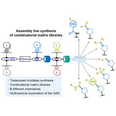 Multistep and multivectorial assembly line library synthesis in flow