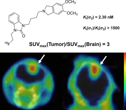 Novel 18F-Labeled Benzimidazolone-Based Radioligands as Highly Selective Sigma-2 Receptor Probes for Tumor Imaging