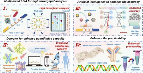 Evaluation of the Multidimensional Enhanced Lateral Flow Immunoassay in Point-of-Care Nanosensors