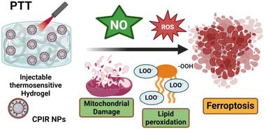 In situ thermosensitive H2O2/NO self-sufficient hydrogel for photothermal ferroptosis of triple-negative breast cancer†