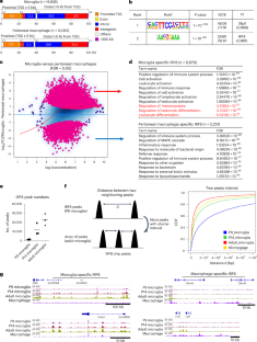 IRF8 defines the epigenetic landscape in postnatal microglia, thereby directing their transcriptome programs