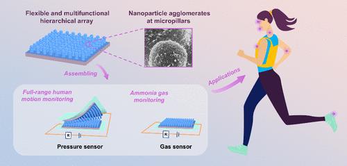 Flexible and Multifunctional Pressure/Gas Sensors with Polypyrrole-Coated TPU Hierarchical Array