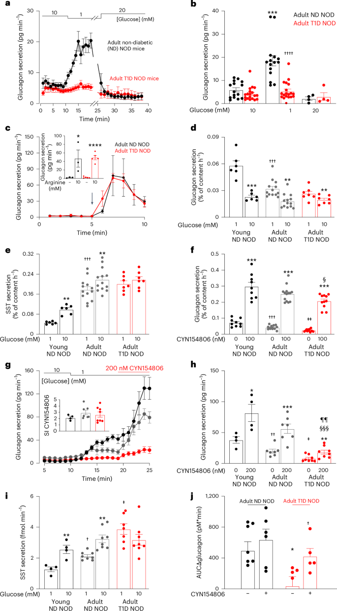 Loss of electrical β-cell to δ-cell coupling underlies impaired hypoglycaemia-induced glucagon secretion in type-1 diabetes