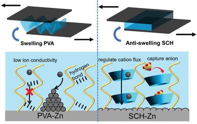 Anti-Swelling Supramolecule-Crosslinked Hydrogel Interphase for Stable Zn Metal Anodes